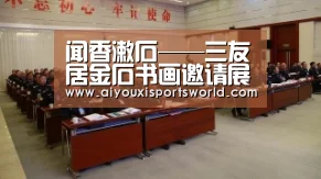 爱游戏电竞