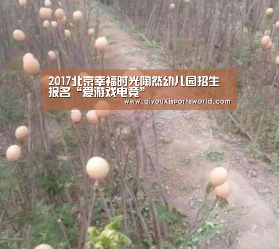 2017北京幸福时光陶然幼儿园招生报名“爱游戏电竞”(图2) 爱游戏APP