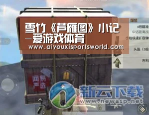 雪竹《芦雁图》小记-爱游戏体育(图1) 爱游戏登录